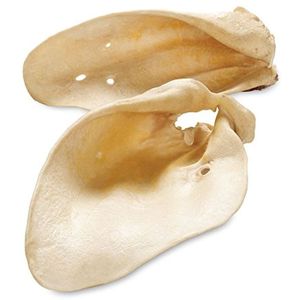 Organic Dog Chew Dry Ear Tasty Chewing Snack Quality Dry Ear Dog <b>Treat</b> Chew <b>Training</b> Reward - Product Image 4