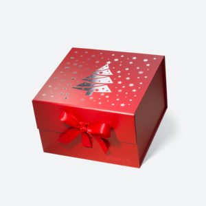 Caja de Regalo Magnética Cuadrada A5 Verde Oscuro Intenso con Estampado Plateado en Caliente y Cinta, Cajas de Regalo de Cartón de Lujo para Venta al por Menor - Product Image 4