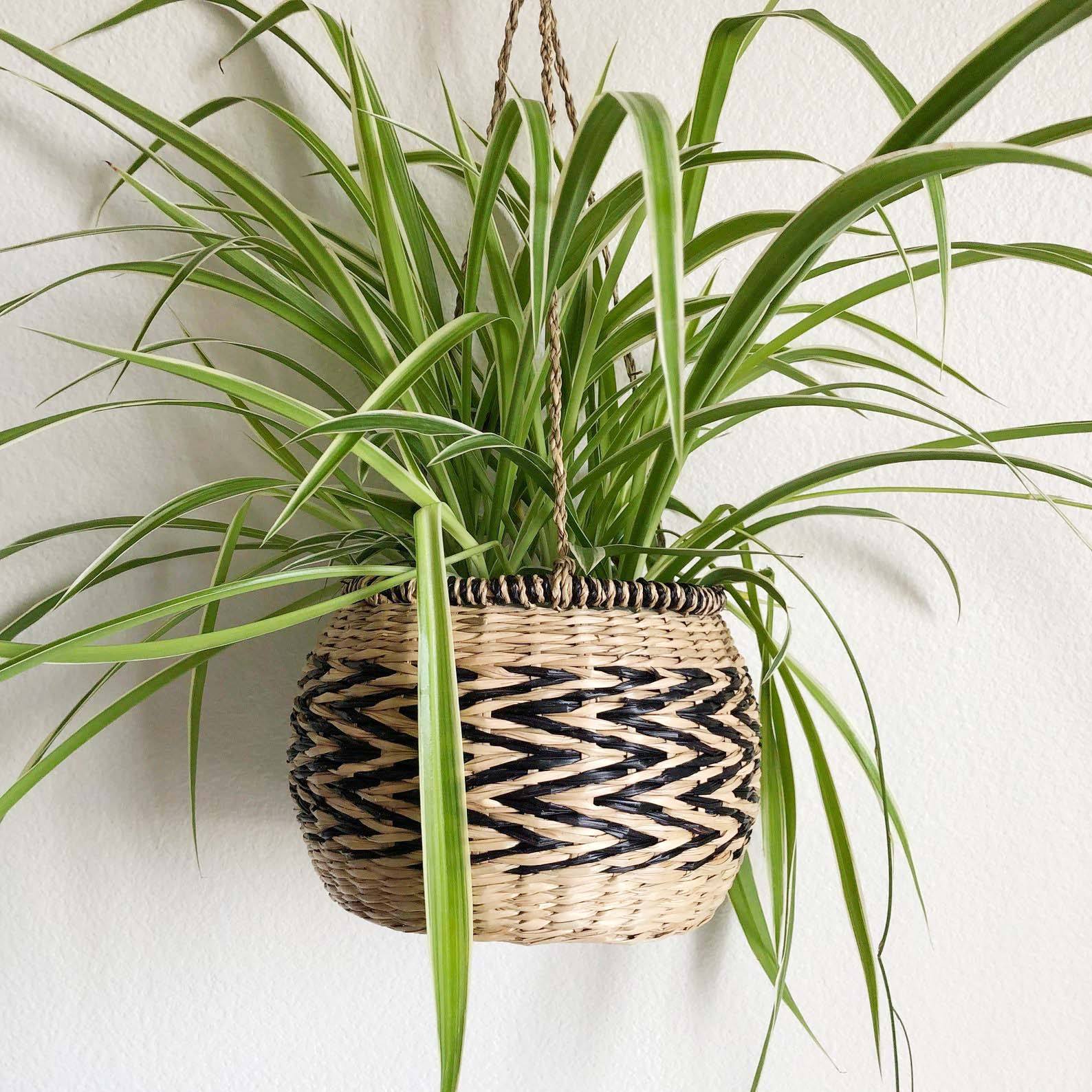 ธรรมชาติ