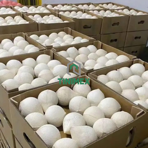 Fresh Pulido Coco Para Bebida Marca OEM - Product Image 5