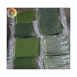 Premium Fresh Frozen <b>Green</b> Banana Leaves for Sale Perfect for Wrapping <b>Food</b> & Dishes - 99 Gold Data Customized Packing Available - Product Image 4