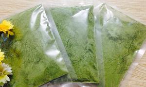 Suministro de fábrica 100% Polvo de semilla de achiote natural Especias individuales y hierbas Procesamiento crudo seco - Product Image 3