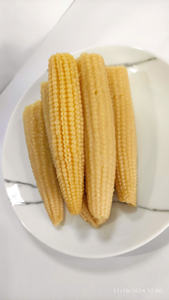 Maïs bébé pelé entier de qualité supérieure du Vietnam Maïs bébé en conserve aromatisé et sucré dans de l'eau préservée en saumure - Product Image 3