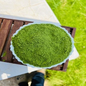 ผงใบมะรุมอบแห้งธรรมชาติออร์แกนิกที่ได้รับการรับรองจาก Grenera สารสกัดจากใบมะรุม ได้รับการรับรองมาตรฐาน ISO สำหรับการดูแลสุขภาพ สารต้านอนุมูลอิสระ เสริมภูมิคุ้มกัน - Product Image 1