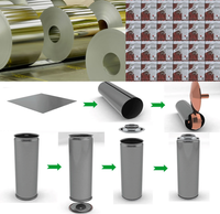 Bouteilles aérosols vides en fer blanc pour pulvérisation désinfectante, anti-moustiques, mousse coiffante et nettoyants industriels – Fabrication sur mesure pour usage chimique