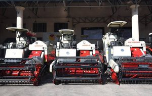 Cosechadoras de maíz usadas 4HAY, máquinas agrícolas para la cosecha de granos en venta - Product Image 4