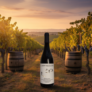 L'Opposizione Sangiovese Superiore DOC Red <b>Wine</b> 750ml Fruity Structured Romagna <b>Wine</b> 6 Bottles Per Box - Product Image 3