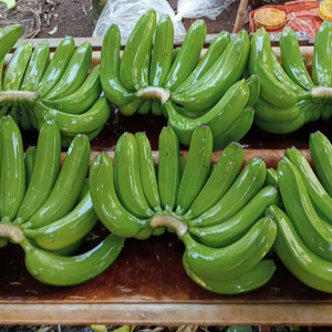 Alta calidad Vietnam Cavendish Banana Fresh Farm Export Suministro estable Embalaje profesional Estándar internacional - Product Image 1