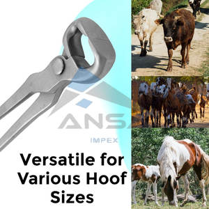 Pince à sabots incurvée de 15 "en acier inoxydable Outil de maréchal-ferrant de haute qualité pour chevaux Durable Sharp et résistant à la rouille Heavy Duty - Product Image 5