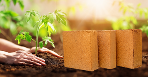 Turba de coco natural de alta absorción de agua para uso agrícola y de animales Proveedor y Fabricante Mayorista de India - Product Image 4