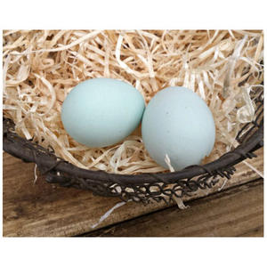 Huevos de Gallina de Alta Calidad, Frescos y Naturales, Precio al por Mayor, Productos Animales - Product Image 2