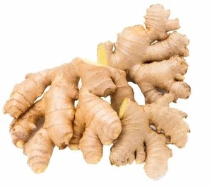 Suministro de Jengibre Fresco Orgánico al Mercado Japonés, Jengibre 100% Natural de Primera Calidad, Exportación de Alimentos Directa de Fábrica, Origen Reino Unido - Product Image 6