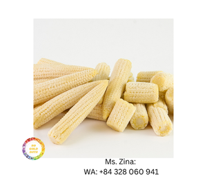 Maíz bebé congelado de calidad superior a precio barato al por mayor de exportación de Vietnam por 99 Gold Data - Product Image 4