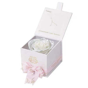 Astor Collection's Eternal Rose Personal <b>Gift</b> <b>Set</b> for Cancer Patients - Product Image 1
