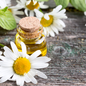 Crème et lotion pour le visage ODM/OBM à fleur de neige à la camomille développée en Corée avec du collagène niacinamide pour la brillance de la peau - Product Image 4