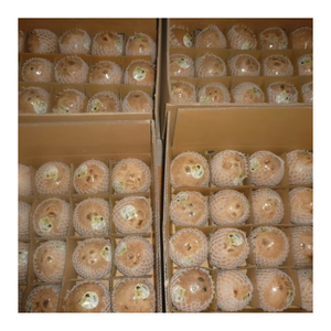 Noix de coco mature du Vietnam régulièrement classé pour la taille et le goût parfait pour les distributeurs en gros et les acheteurs internationaux - Product Image 3