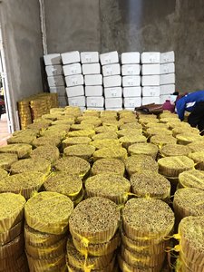 ซิการ์แคสเซีย/ ซินนามอนจากเวียดนามขายส่งพืชผลใหม่ + 84 359318390 - Product Image 3