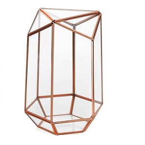 Accessoires de décoration de café ou de café de qualité supérieure Vente chaude Terrarium en verre de forme irrégulière Terrarium en verre transparent - Product Image 1