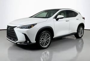 Lexus NX 350 Premium F-Sports AWD d'occasion 2025 - Product Image 6