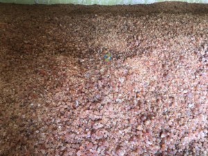 Rikaz International General Tradings LLC's 100% Organic Raw Sudan Acacia Gum Arabic Premium Agriculture Product - Product Image 2