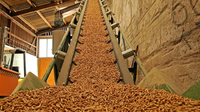 Granulés de bois écologiques de haute qualité Greenfire Factory, combustible solide naturel pour la cuisson, haute teneur calorique 4700J, haute densité