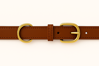 Collier pour animal de compagnie en cuir marron de qualité supérieure de Divine International avec boucle en or et anneau en D fabriqué à la main, réglable et durable