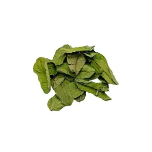 Soursop trà đặc biệt: giảm cân-Uống lá khô hữu cơ