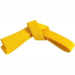 New 2025 Professional quality Customized Quick dry <b>Karate</b> Belt Multi-Color Martial Arts <b>Equipment</b> - Product Image 5