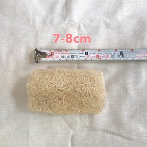 Luffa seca Extra grande, esponja natural sin cortar - Product Image 2