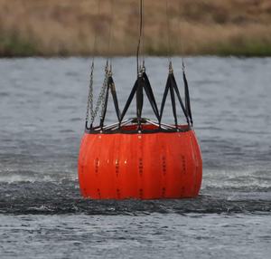 Seau Bambi - Product Image 2