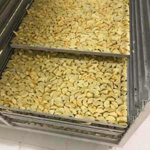 Durian séché de qualité supérieure provenant de fournisseurs vietnamiens à des prix abordables exportation en vrac - Product Image 1