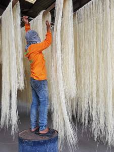 Bulk Quantity Rattan Core Material <b>Bleached</b> and Unbleached Type From Vietnam Competitive Price Supply in Bulk Round Rattan Core - Product Image 6