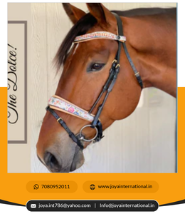 Remaches de resina, rieles de aleación de aluminio, riel ligero - Product Image 5