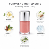 Tube de gloss à lèvres mini format marque privée, bouchon argenté personnalisé, vente en gros de gloss à lèvres, fournisseur d'emballages d'huile à lèvres, OEM ODM, faible MOQ
