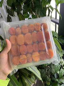 ลูกพลับแห้งเวียดนามเกรดพรีเมียม รสหวานธรรมชาติ สำหรับการสั่งซื้อจำนวนมาก - Product Image 5