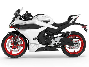 Ventas Anuales 2025 450SS Sport Nueva (Motocicleta) - Product Image 4