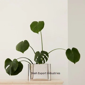 Vase à fleurs en forme de bateau en métal de dernière conception pour votre obsession florale Vase floral fait main de table de couleur or - Product Image 5