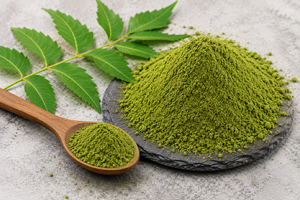 Poudre de feuilles de Neem vertes naturelles de qualité alimentaire, finement moulues, pour mélanges à base de plantes, boissons, smoothies et usage quotidien - Product Image 3
