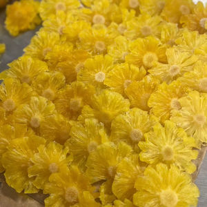 LE VIETNAM EXPORTE DE GRANDES QUANTITÉS D'ANANAS SÉCHÉS DE QUALITÉ SUPÉRIEURE À DES PRIX COMPÉTITIFS - Product Image 1