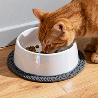 Kunden spezifischer TPR Anti-Rutsch-Ring für Pet Bowl Langlebiges Fütterung zubehör Pet Bowl Ring Gummi basis Pet Feeding Part Kunststoff teile ODM