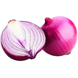 High Quality China Fresh Red Onion Price