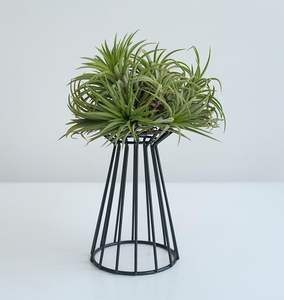 กระถางต้นไม้โลหะตกแต่งบ้านสำหรับห้องนั่งเล่นการตกแต่งสวนดีไซน์ทันสมัย - Product Image 6