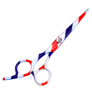 Kit de ciseaux de coiffeur enduits multicolores personnalisés ciseaux de salon de coiffure ciseaux de coiffeur ensemble de 2 pièces de coiffure - Product Image 1