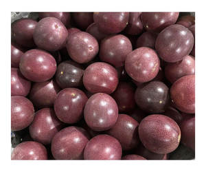 เสาวรสแช่แข็งขายดีที่สุดประจำเดือนอาหารสไตล์สดสำหรับใช้ผลิตในมาตรฐานส่งออกของเวียดนามลดราคา! - Product Image 1