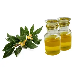Set regalo di olio essenziale per diffusore olio di foglie di alloro puro al 100% con un prezzo ragionevole fornitura di olio di alloro di grado superiore