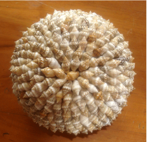 Boule de coquillages, bijoux en coquillages, artisanat en boule de coquillages, motif coquille naturelle, taille 12,5 cm - Product Image 3