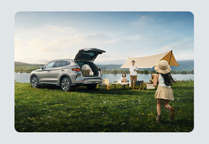 2025 Son g Plus DM-i 160km Flagship Plus Tout Nouveau SUV hybride rechargeable à 5 portes à moteur unique Véhicule à énergie nouvelle - Product Image 3