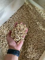 Palettes de bois biomasse en gros certifiées ISO, marque Kim Vuong, combustible de cuisson avec 1,5 % de cendres et 4900 J de calories, provenant d'une usine vietnamienne