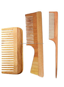 Peigne à cheveux en bois de neem écologique indien Neem pour la promotion de salon à domicile et l'utilisation de voyage du fournisseur indien au prix d'exportation - Product Image 2