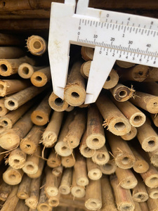 ไม้ไผ่สีเขียวสำหรับปลูกต้นอ้อยหรือเสาส่งตรงจากผู้ผลิต2025วัตถุดิบคุณภาพ - Product Image 2